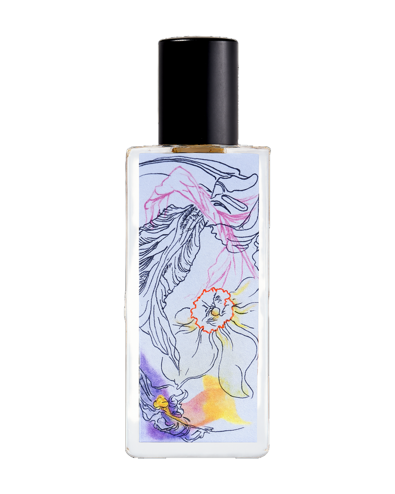 SONGE DE NARCISSE