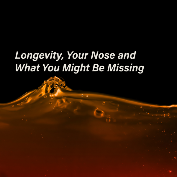 Longevity, Your Nose and What You Might Be Missingsainte cellier