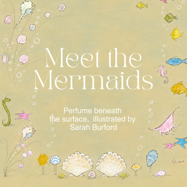 Meet the Mermaids, illustrated by Sarah Burfordsainte cellier