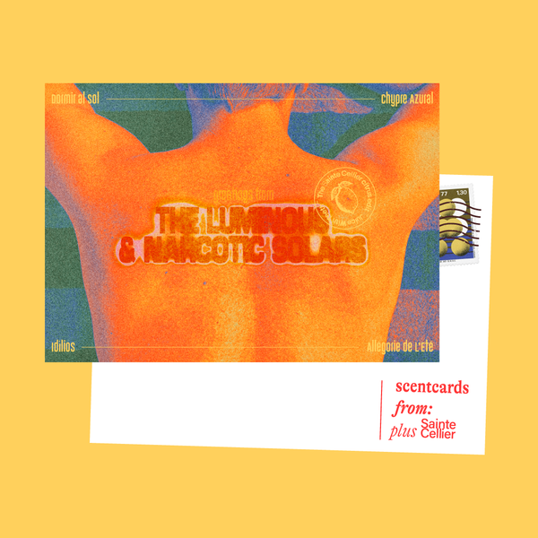 The Citrus Edit: The Luminous & Narcotic Solars