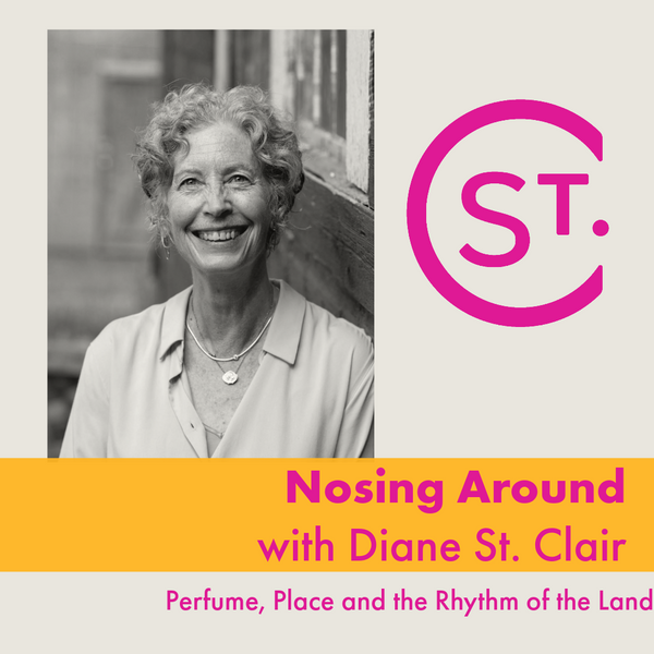 NOSING AROUND WITH DIANE ST. ClAIR
