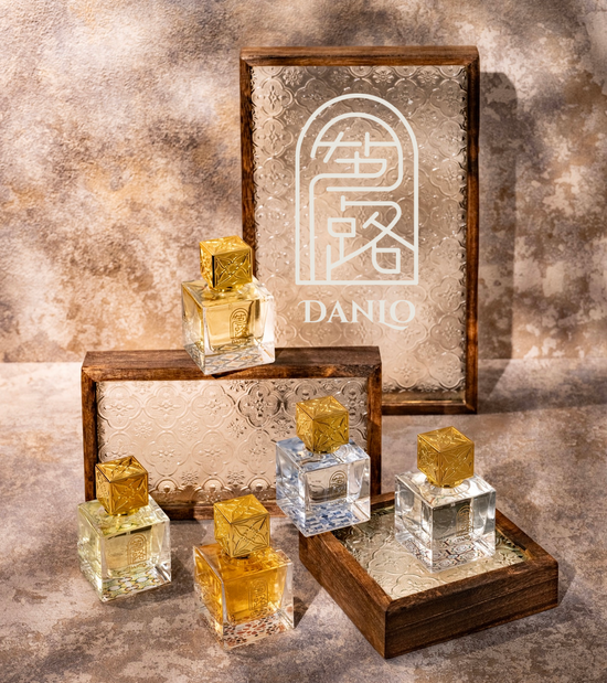 Discovering DANLO | 等路