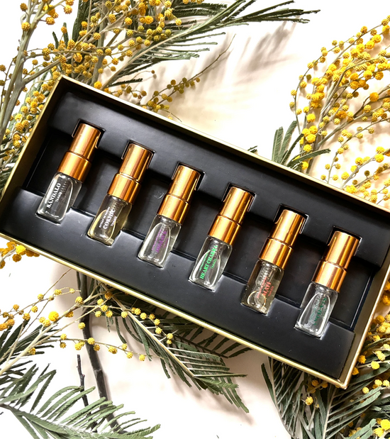 STUDIO TANAÏS DISCOVERY SET