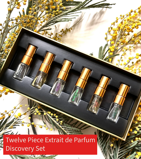 STUDIO TANAÏS DISCOVERY SET